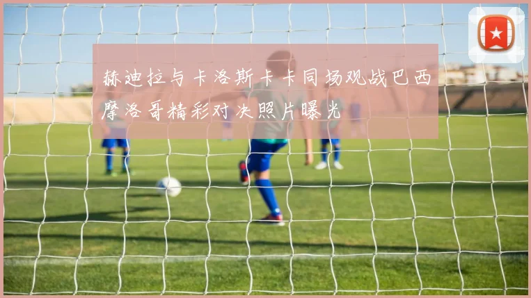 赫迪拉与卡洛斯卡卡同场观战巴西摩洛哥精彩对决照片曝光